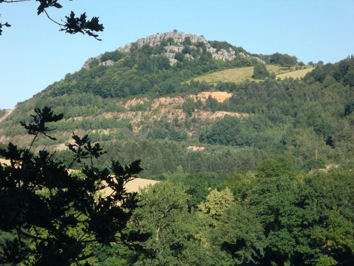 Готель Le Barry Villefranche-d'Albigeois Екстер'єр фото